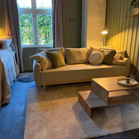 Central Studio Apartment Apartment *