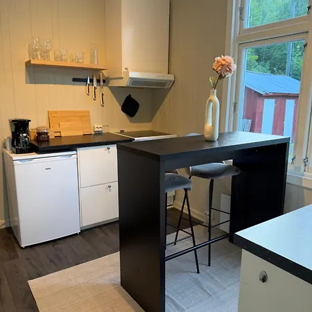 Central Studio Apartment Apartment